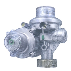RF 25 Arctic